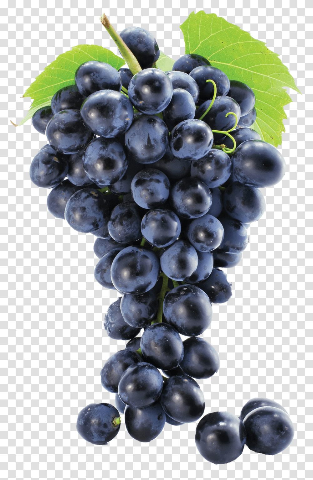 Grapes Image Grape Transparent Png