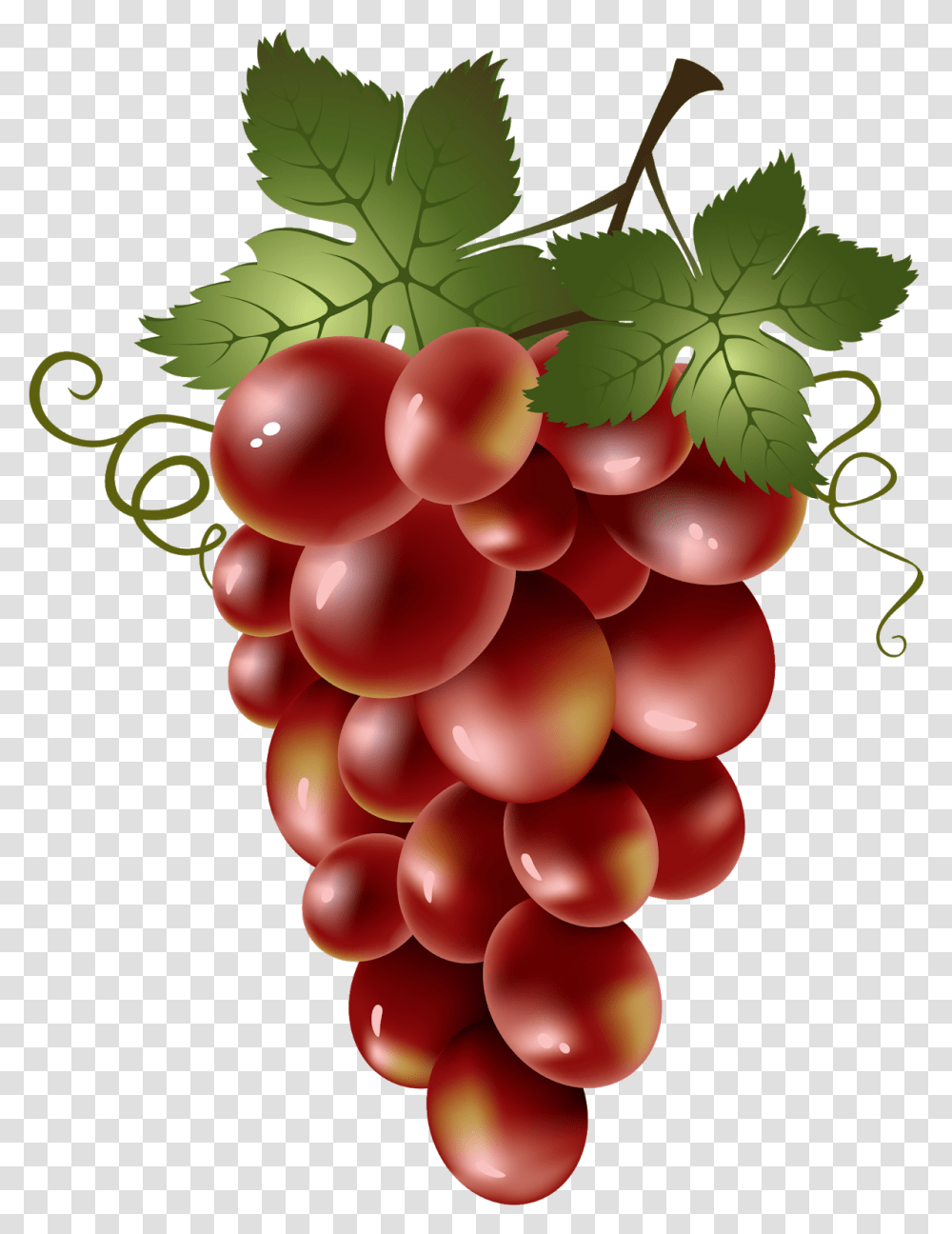 Grapes Images, Plant, Fruit, Food, Balloon Transparent Png