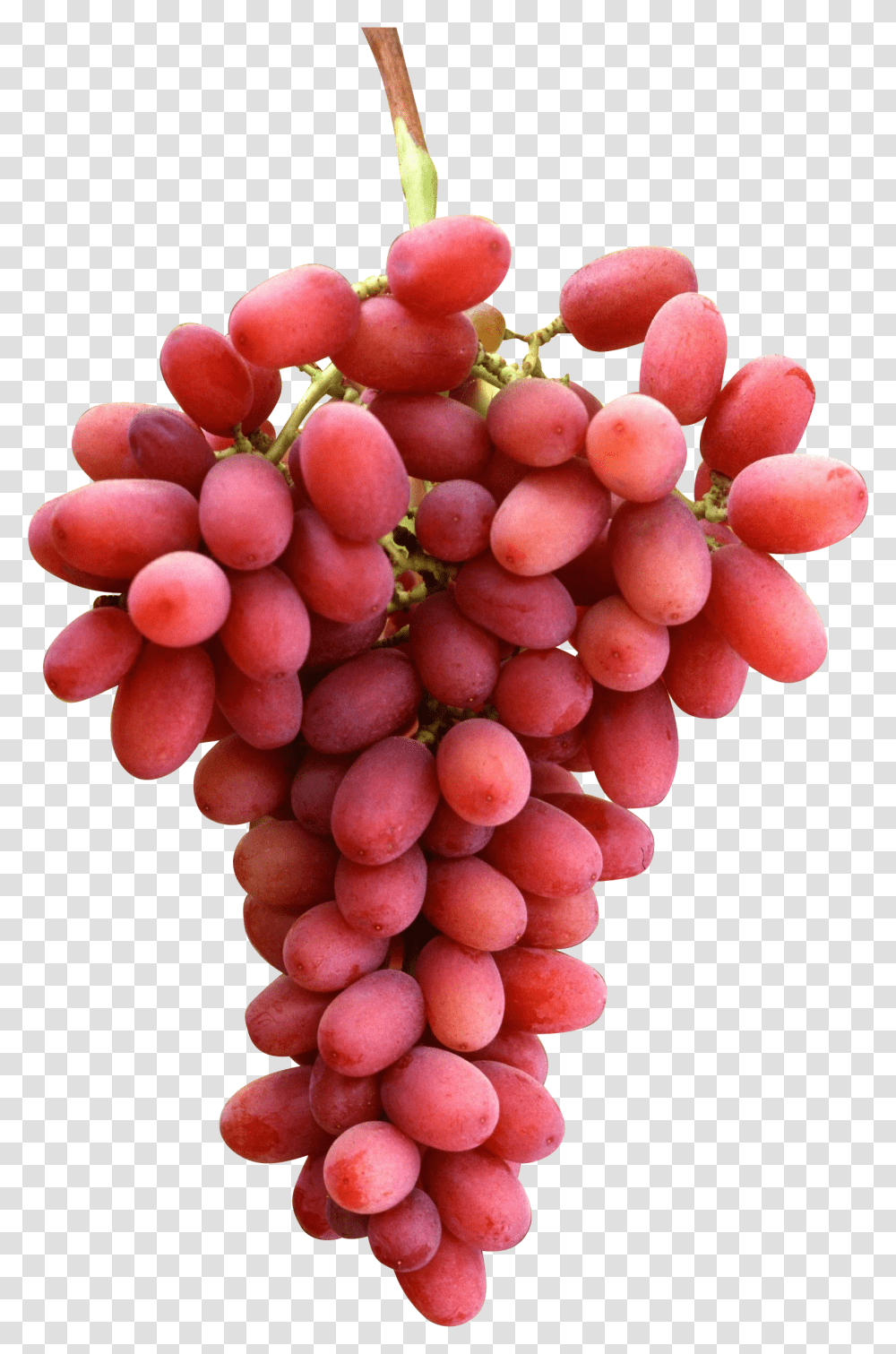 Grapes Images, Plant, Fruit, Food Transparent Png