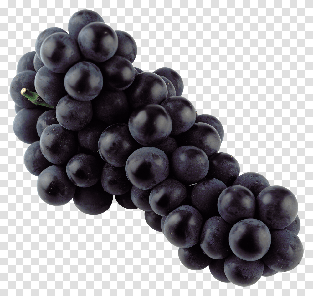 Grapes Isolated Blue Grape Stickpng Black Grapes, Plant, Fruit, Food, Fungus Transparent Png