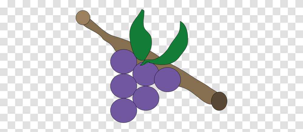 Grapes On Branch, Plant, Fruit, Food, Scissors Transparent Png