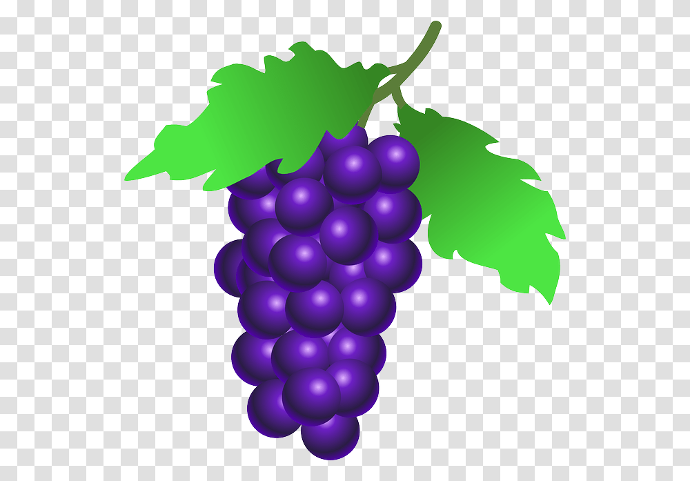 Grapes Outline Drawing, Fruit, Plant, Food, Balloon Transparent Png