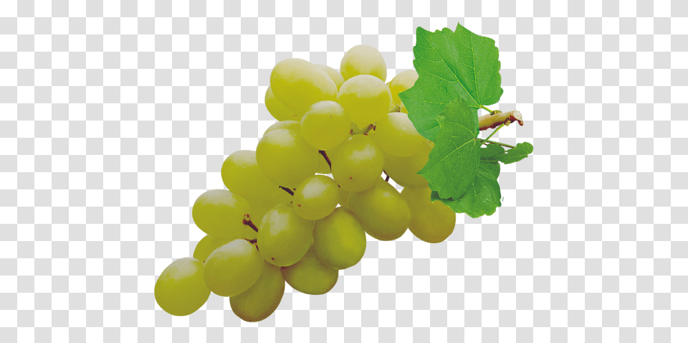 Grapes Pic Grapes, Fruit, Plant, Food Transparent Png