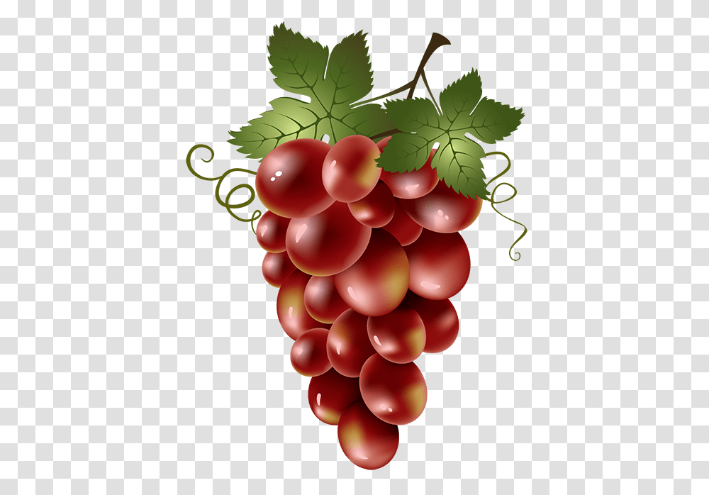 Grapes, Plant, Fruit, Food, Balloon Transparent Png