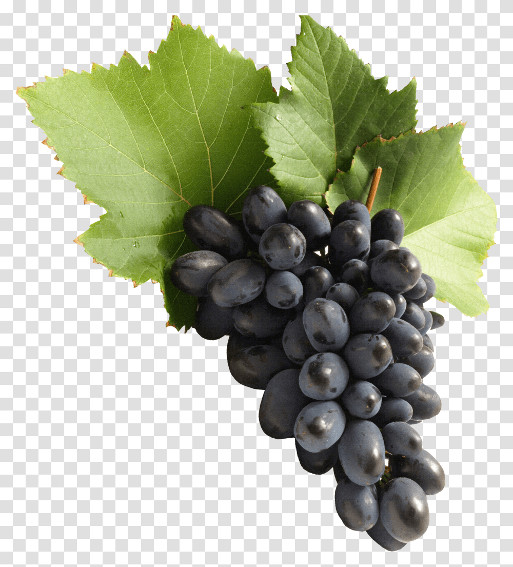 Grapes, Plant, Fruit, Food Transparent Png