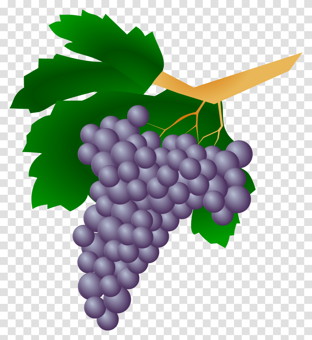 Grapes, Plant, Fruit, Food, Vine Transparent Png