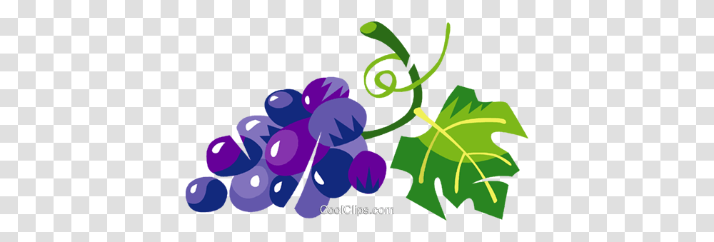 Grapes Royalty Free Vector Clip Art Illustration, Plant, Floral Design, Pattern Transparent Png