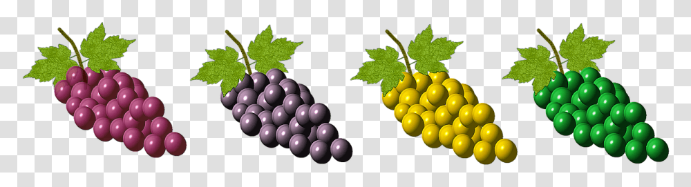 Grapes Vector Grape, Fruit, Plant, Food, Vine Transparent Png