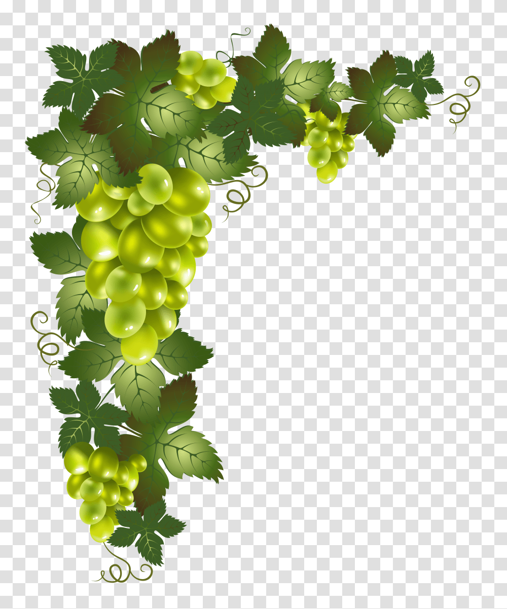 Grapes Vines Vines, Fruit, Plant, Food Transparent Png