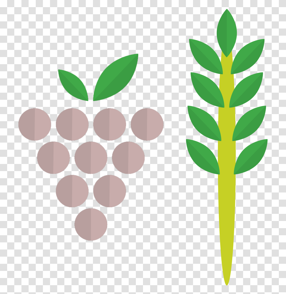 Grapes Wine Label Design, Green, Plant, Leaf Transparent Png