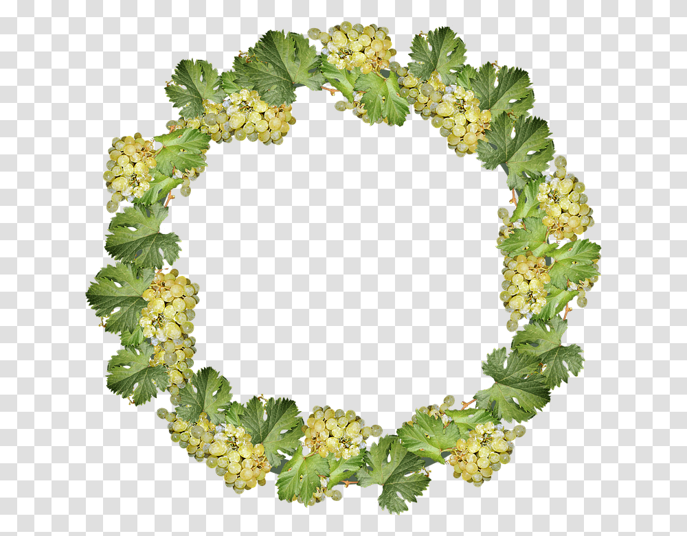Grapes Wreath Border Frame Decoration Cut Out Viburnum, Plant, Moss, Green Transparent Png