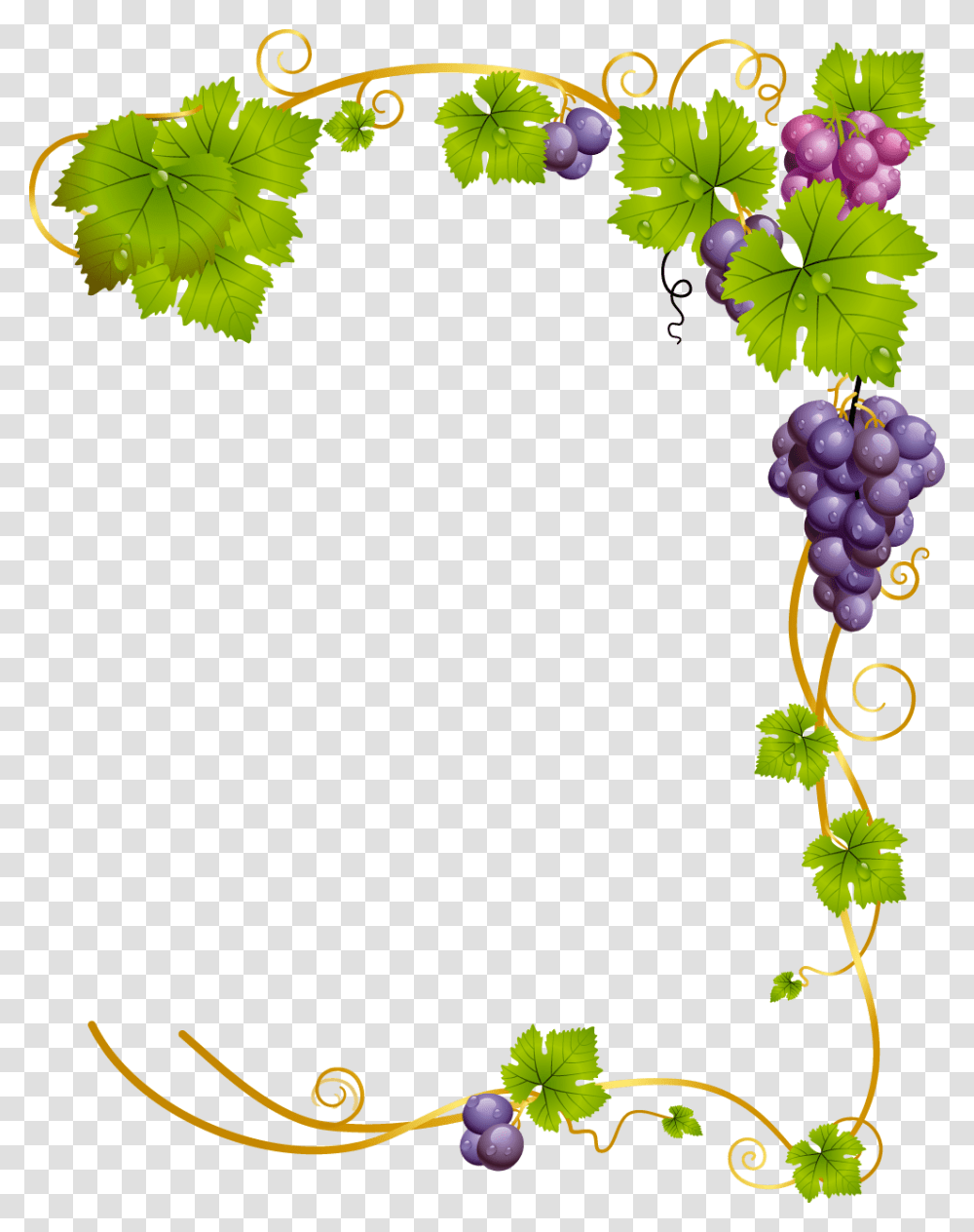 Grapevine Border Clipart Grape Vine Clipart, Plant, Grapes, Fruit, Food Transparent Png