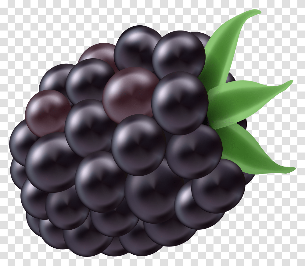 Ежевика 1 ягода