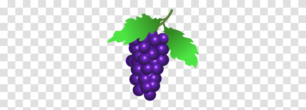 Grapevine Clipart, Grapes, Fruit, Plant, Food Transparent Png