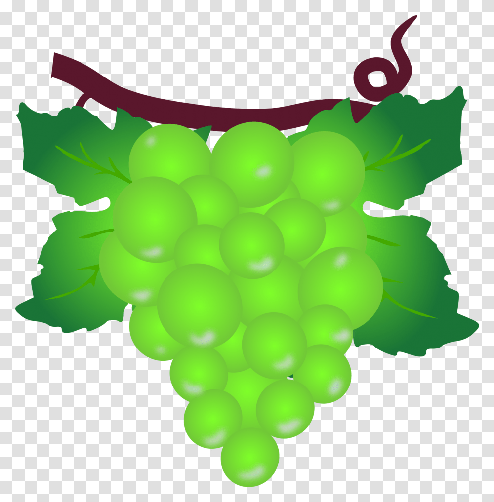 Grapevine Clipart Green Grape, Grapes, Fruit, Plant, Food Transparent Png
