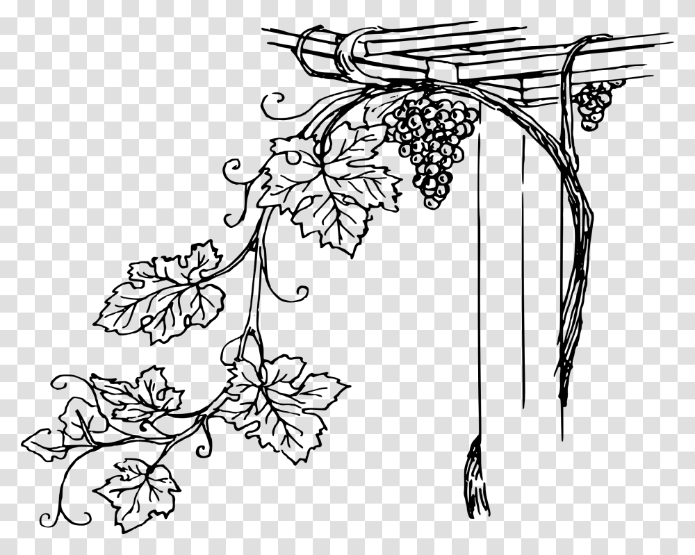 Grapevine Clipart Icon Vine Black And White Clip Art, Gray, World Of Warcraft Transparent Png