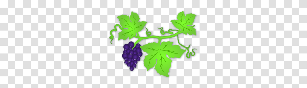 Grapevine Clipart, Plant, Leaf, Grapes, Fruit Transparent Png