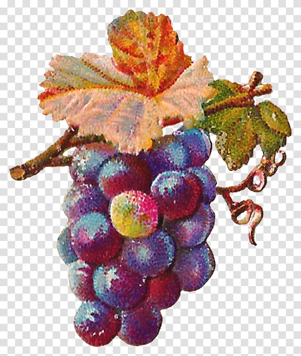 Grapevine Digital Art Of Grapes, Fruit, Plant, Food Transparent Png
