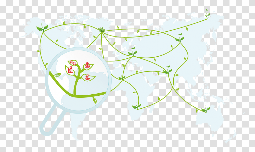 Grapevine Light Transperent World Map, Plant, Leaf, Green, Tree Transparent Png