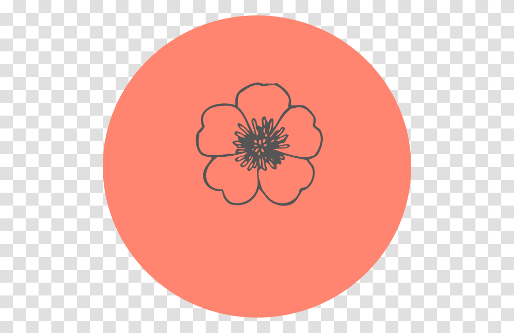 Graph Icon Circle, Plant, Pattern, Graphics, Art Transparent Png