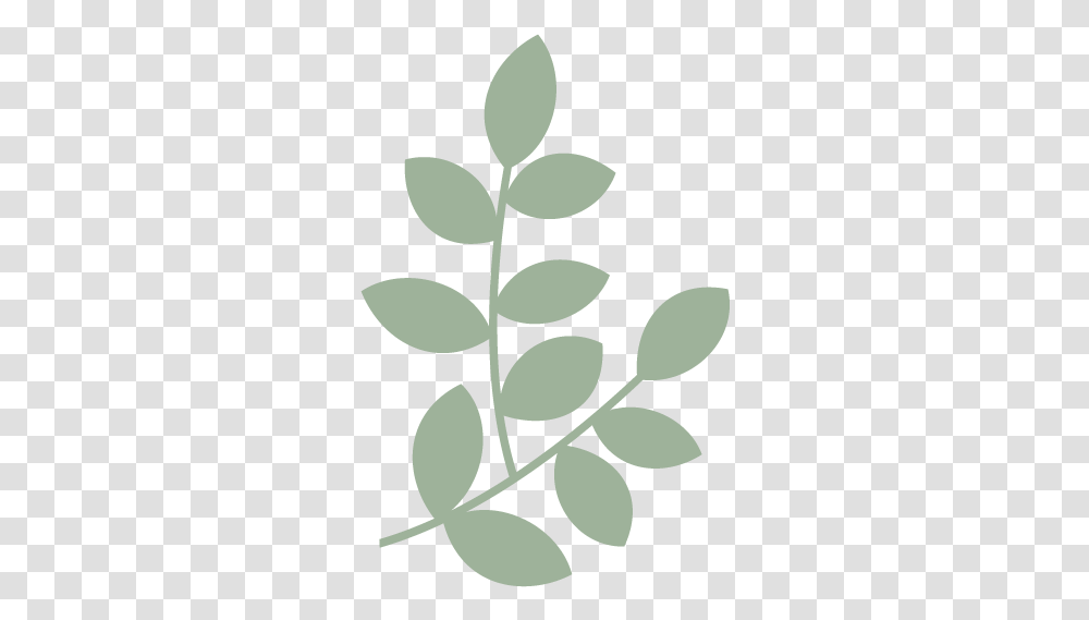 Graphic 4 600 B Illustration, Leaf, Plant, Green, Stencil Transparent Png