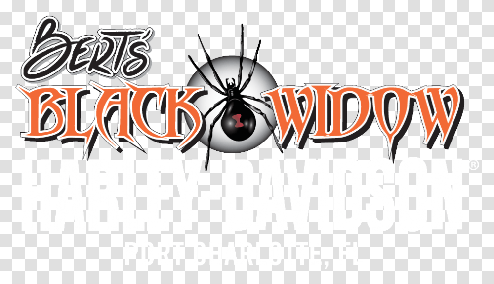 Graphic Design, Black Widow, Insect, Spider, Invertebrate Transparent Png