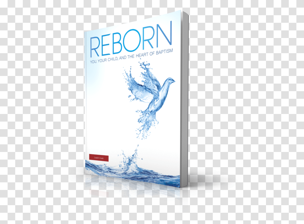 Graphic Design Book Cover, Bird, Water, Electronics Transparent Png