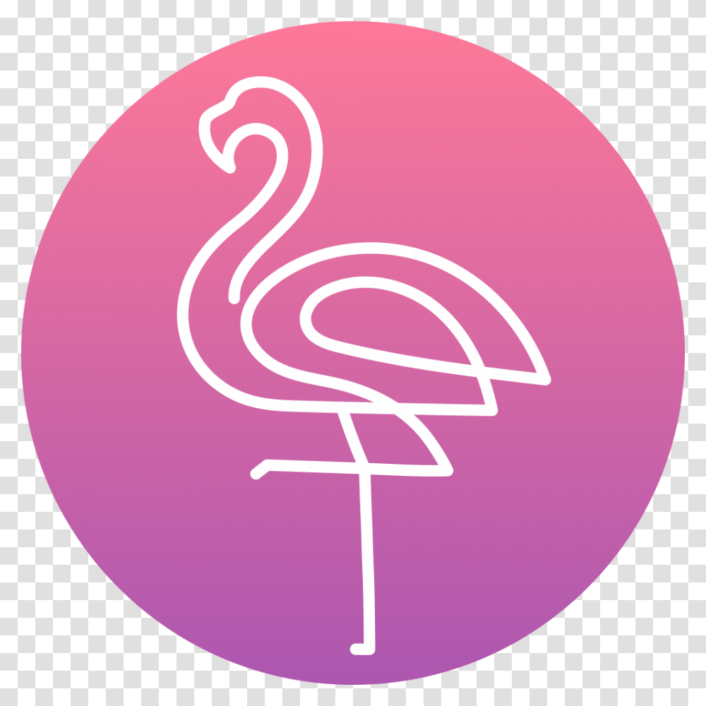 Graphic Design, Flamingo, Bird, Animal, Baseball Cap Transparent Png