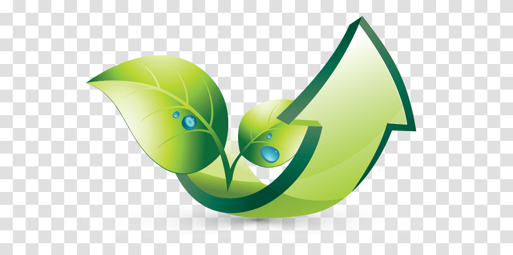 Graphic Design, Green, Plant Transparent Png