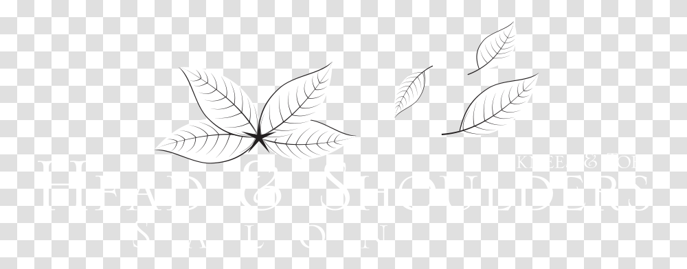 Graphic Design, Leaf, Plant Transparent Png