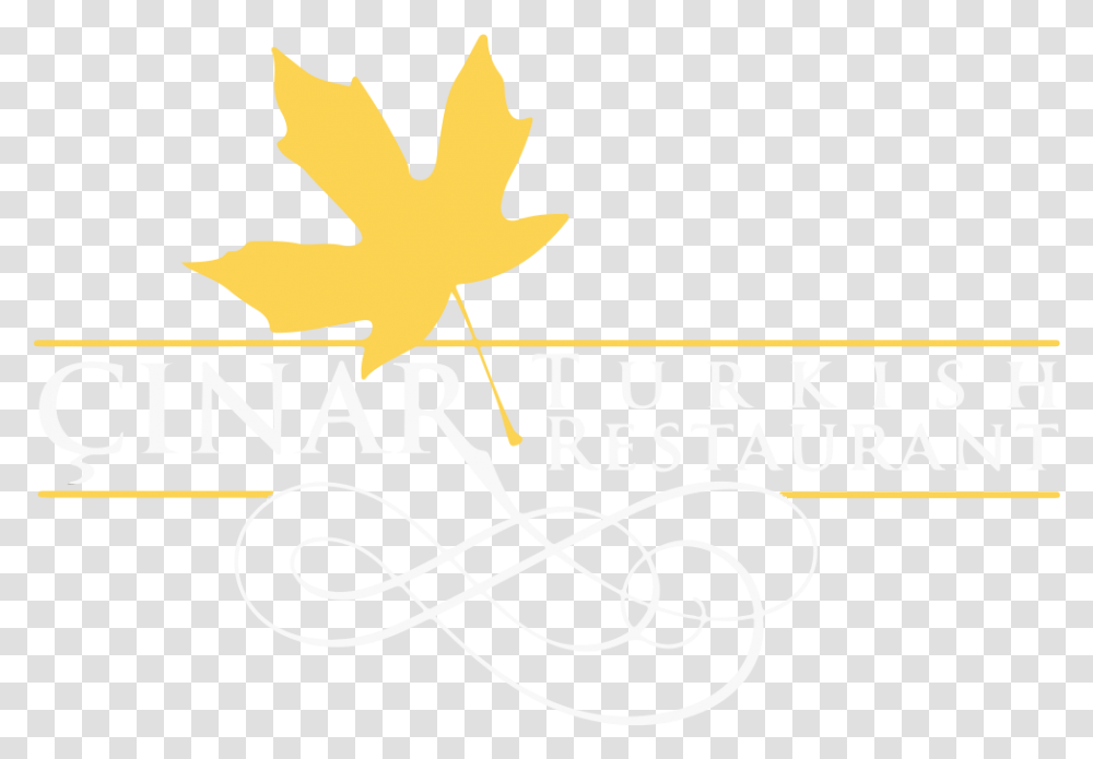 Graphic Design, Leaf, Plant, Maple Leaf Transparent Png