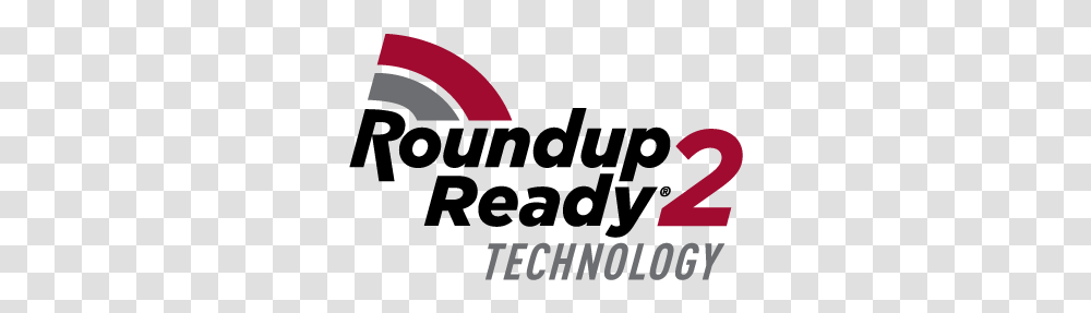 Graphic Design, Logo, Trademark, Word Transparent Png