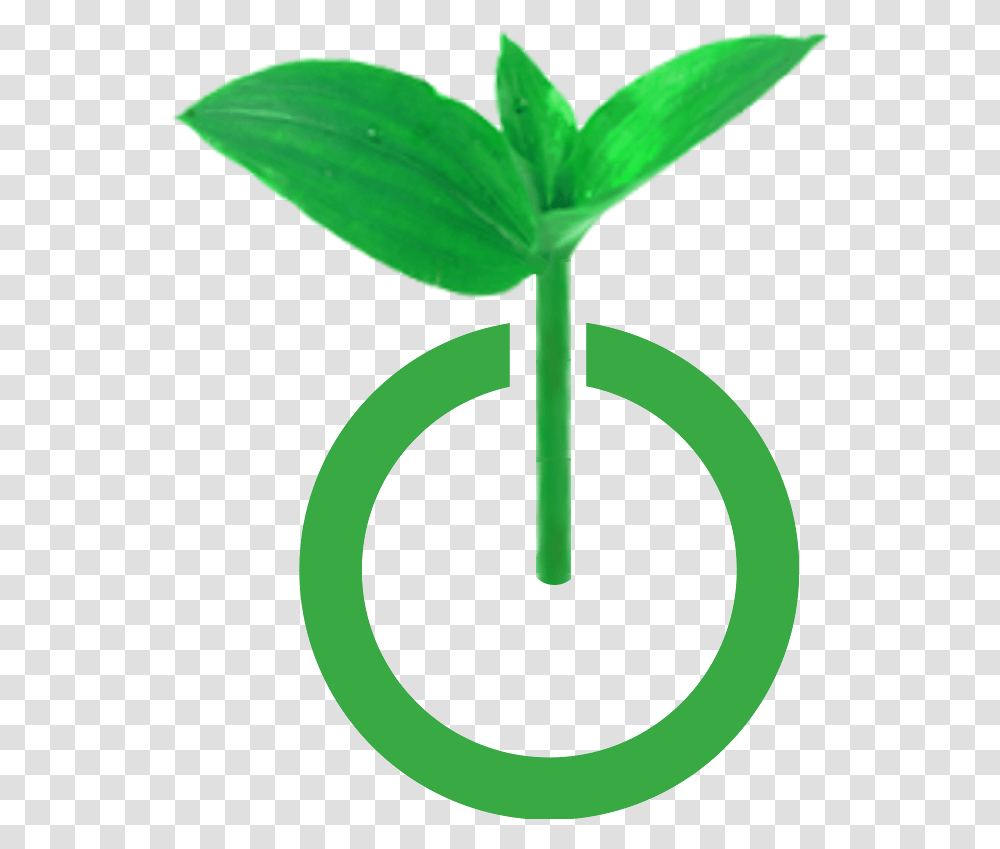 Graphic Design, Plant, Sprout, Bud, Flower Transparent Png