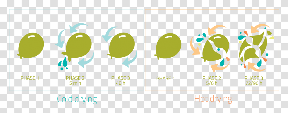 Graphic Design, Plant, Pac Man, Bird Transparent Png