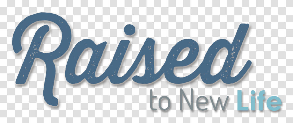 Graphic Design, Logo, Label Transparent Png