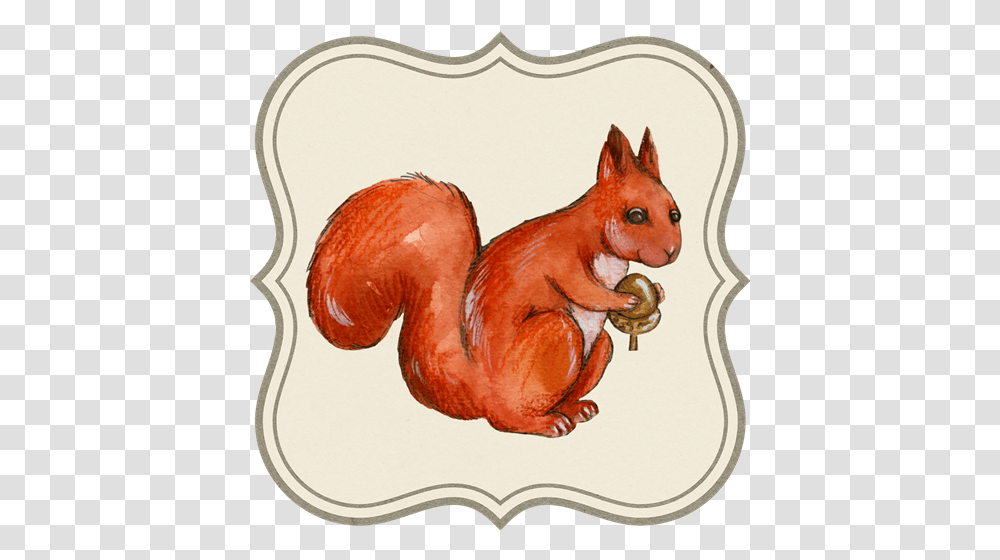 Graphic Design Watercolor Squirrel Squirrel, Animal, Bird, Horse, Mammal Transparent Png