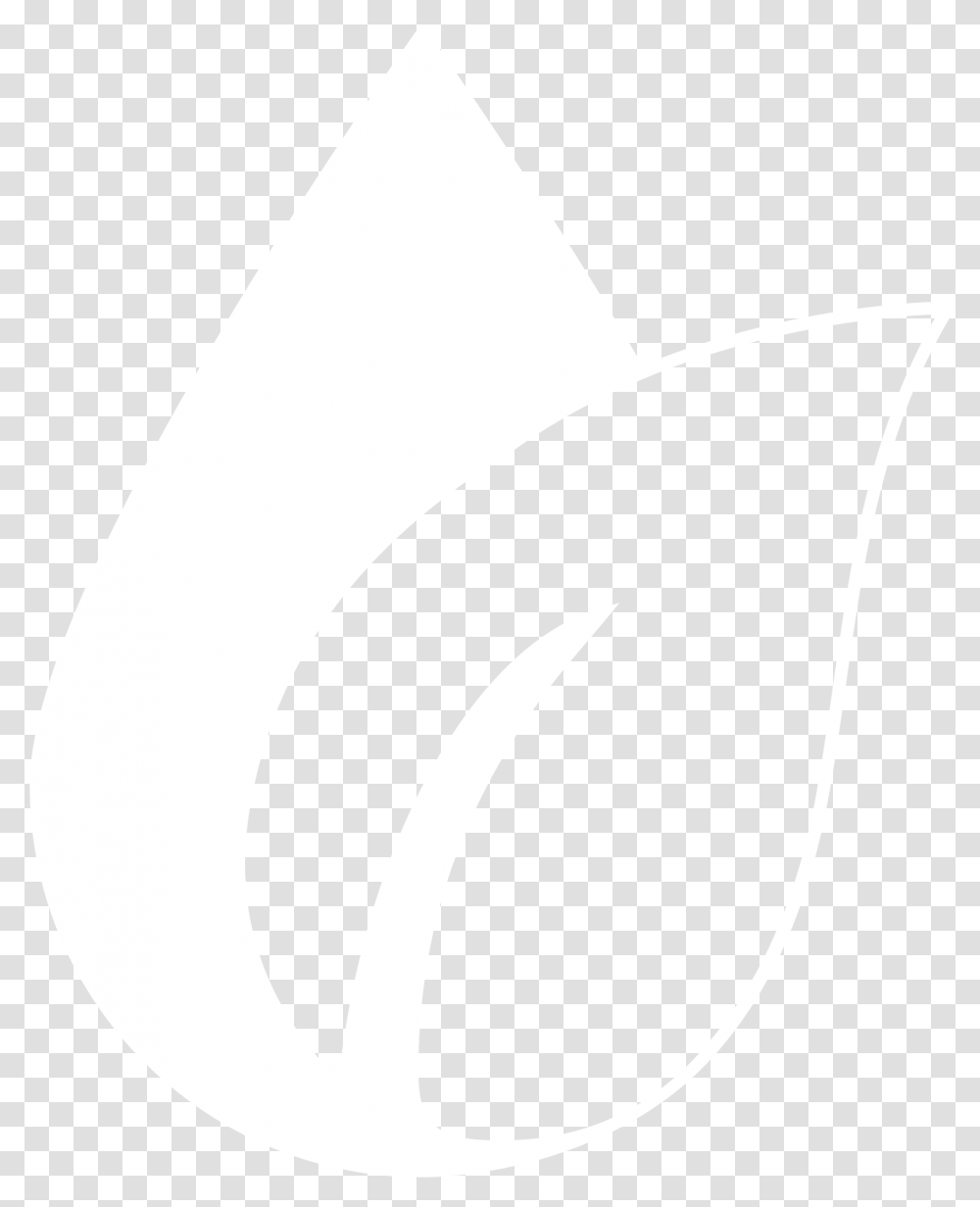 Graphic Design, White, Texture, White Board Transparent Png