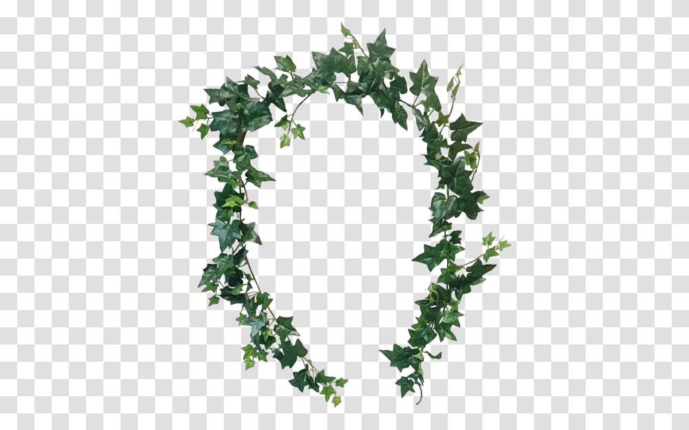 Graphic Download Ft Sage Ivy Garland, Plant, Green, Wreath, Leaf Transparent Png