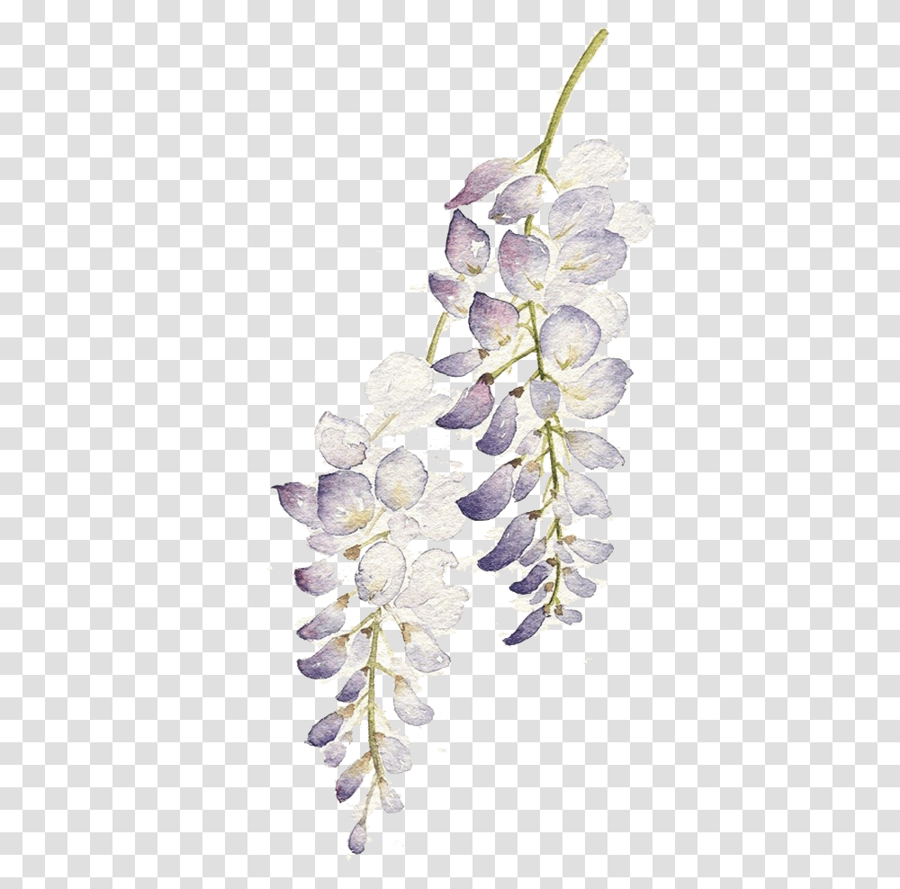 Graphic Flowers Watercolour Painting Purple Flower Watercolor Flower Purple, Plant, Blossom, Petal, Pineapple Transparent Png