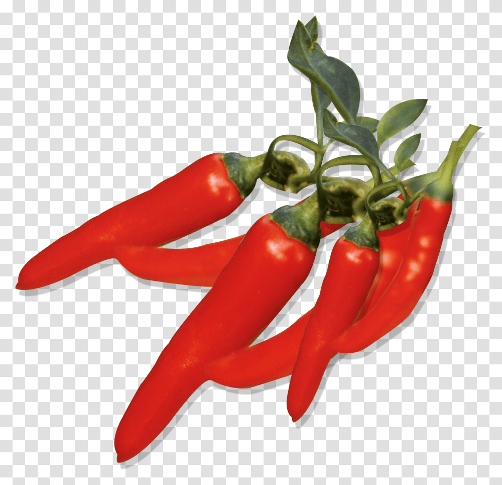 Graphic Free Capsicum Annuum Pepper Fruit Pepper, Plant, Vegetable, Food, Dynamite Transparent Png