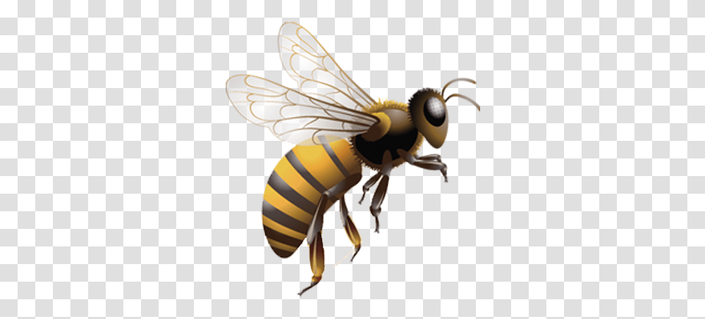 Graphic Free Stock Honey Bee Insect Beehive Flying Bee, Invertebrate, Animal, Toy, Apidae Transparent Png
