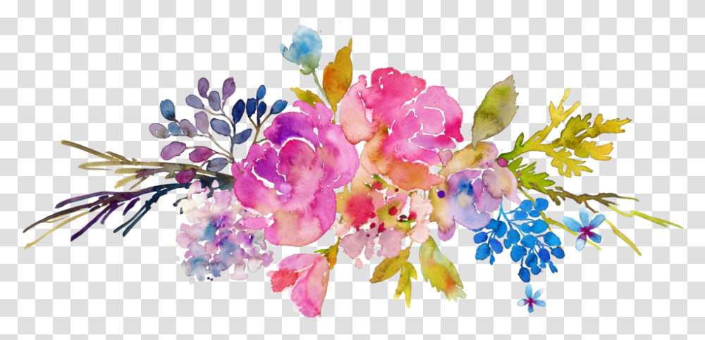 Graphic Free Women's Tonic Tea Shifa Amazon Buyer Watercolor Painting, Plant, Flower, Blossom, Geranium Transparent Png