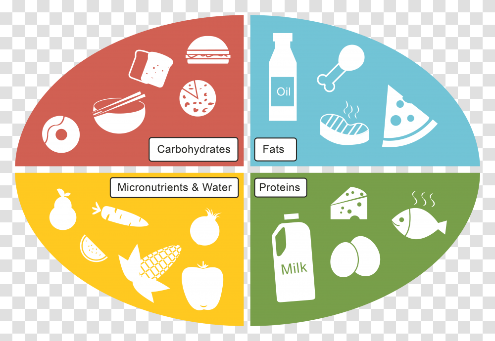 Graphic Freeuse Carbohydrate Drawing Protein Food Carbohydrates Fats And Proteins, Advertisement, Poster, Label Transparent Png