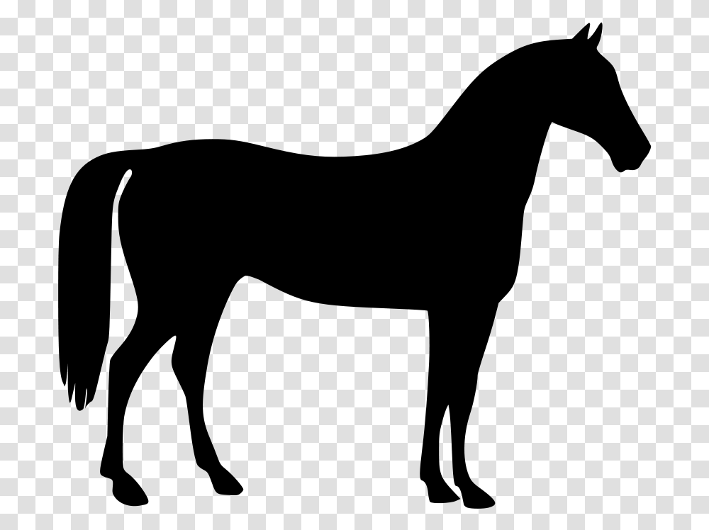 Graphic Freeuse Library 4h Horse, Gray, World Of Warcraft Transparent Png