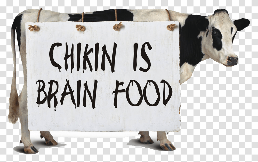 Graphic Freeuse Stock Chick Fil A Cow Clipart Chick Fil A Cow, Cattle, Mammal, Animal Transparent Png