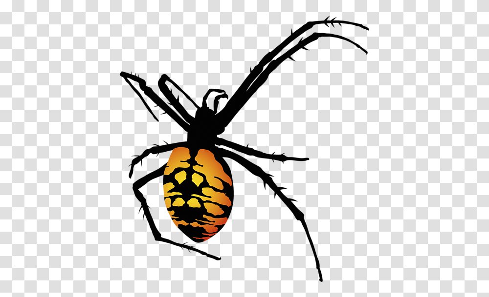 Graphic Image Of Spider, Garden Spider, Insect, Invertebrate, Animal Transparent Png