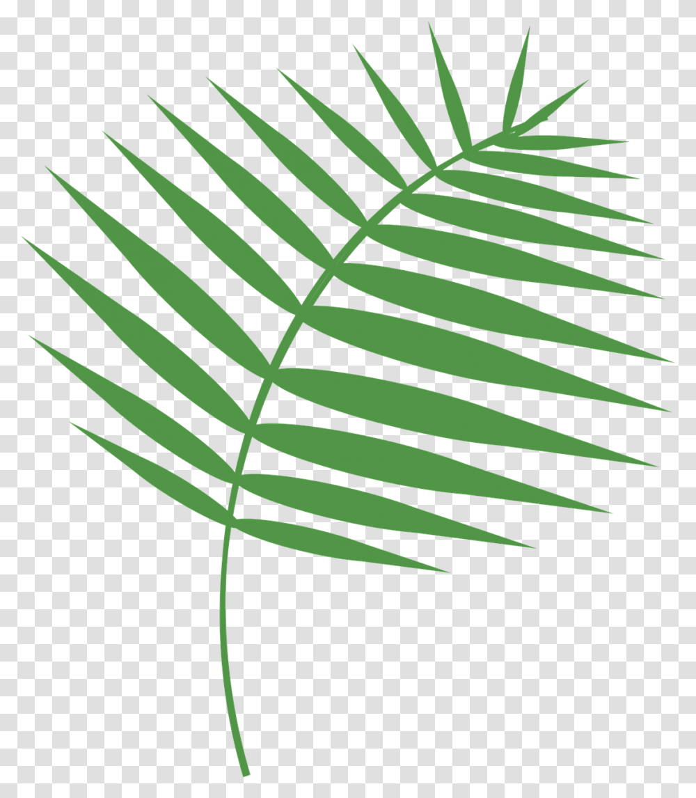 Graphic Palm Palm Sunday Free Photo Domingo De Ramos, Plant, Fern, Leaf, Green Transparent Png