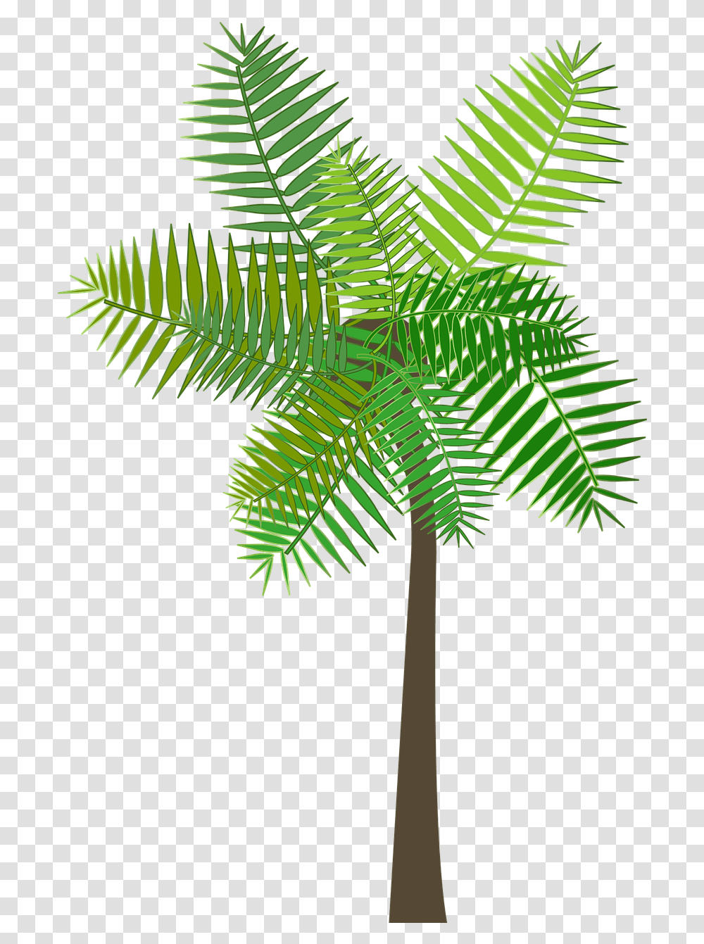 Graphic Palm Tree Free Vector Graphic On Pixabay Vertical, Plant, Fern, Bird, Animal Transparent Png