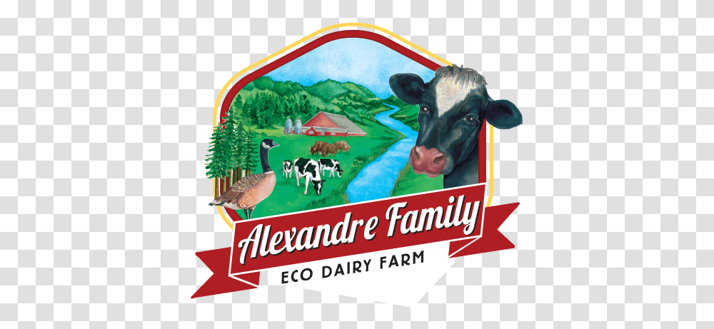 Graphic Regime Branding Digital Design Dairy Farm Family Farm Logos, Bird, Animal, Cattle, Mammal Transparent Png