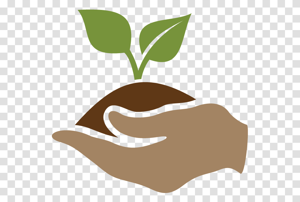Graphic Representing The Cpc Best Plant Conservation Plant Conservation Clipart, Food, Vegetable, Hand, Soil Transparent Png